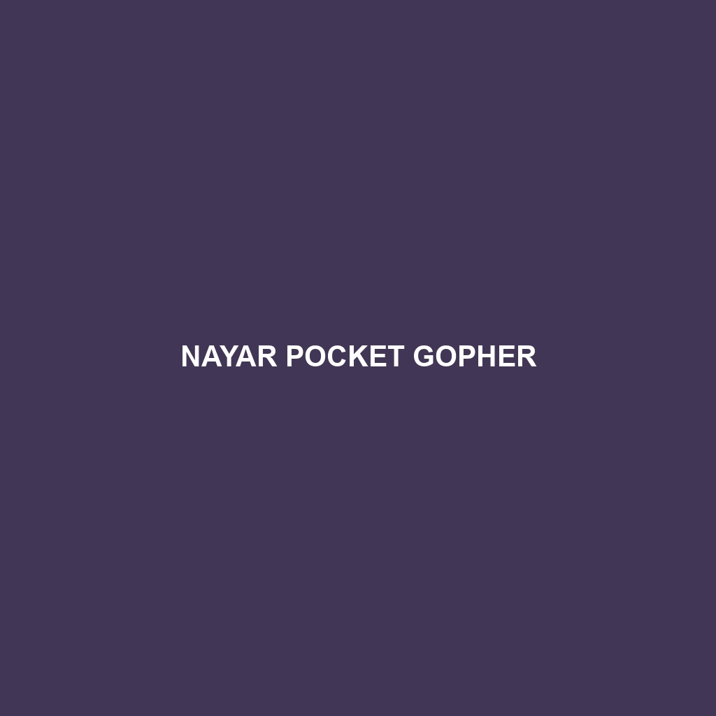 Nayar Pocket Gopher