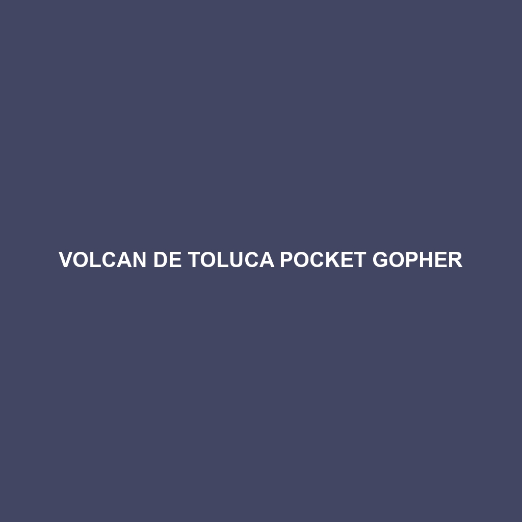 Volcan de Toluca Pocket Gopher