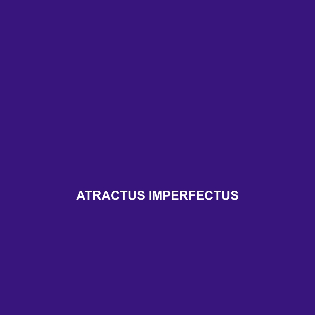 Atractus imperfectus