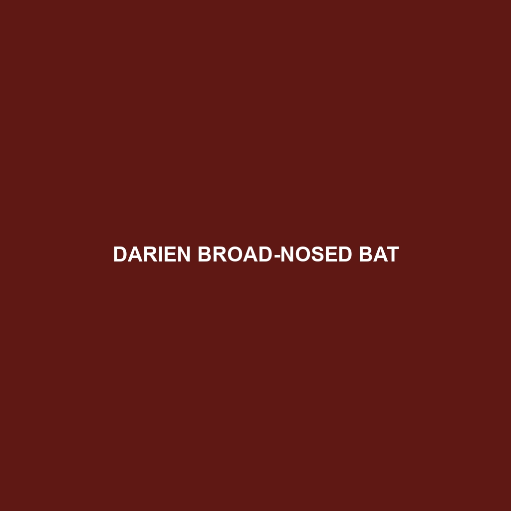 Darien Broad-nosed Bat