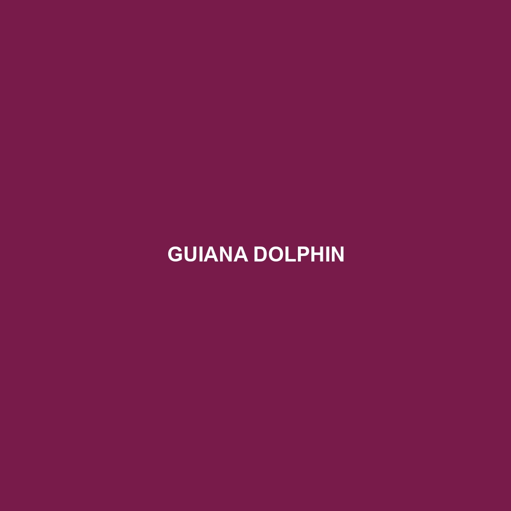 Guiana Dolphin