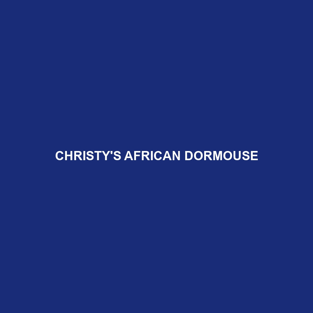 Christy's African Dormouse