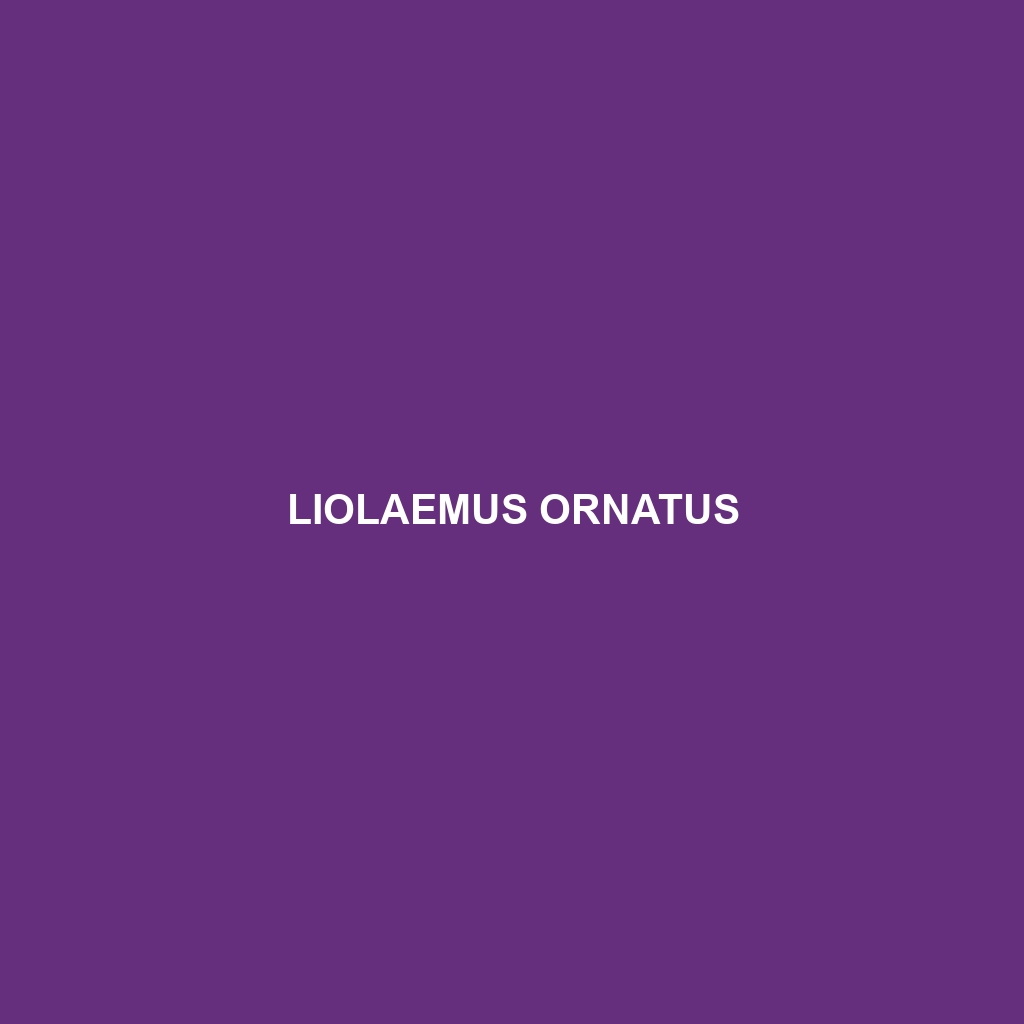 Liolaemus ornatus