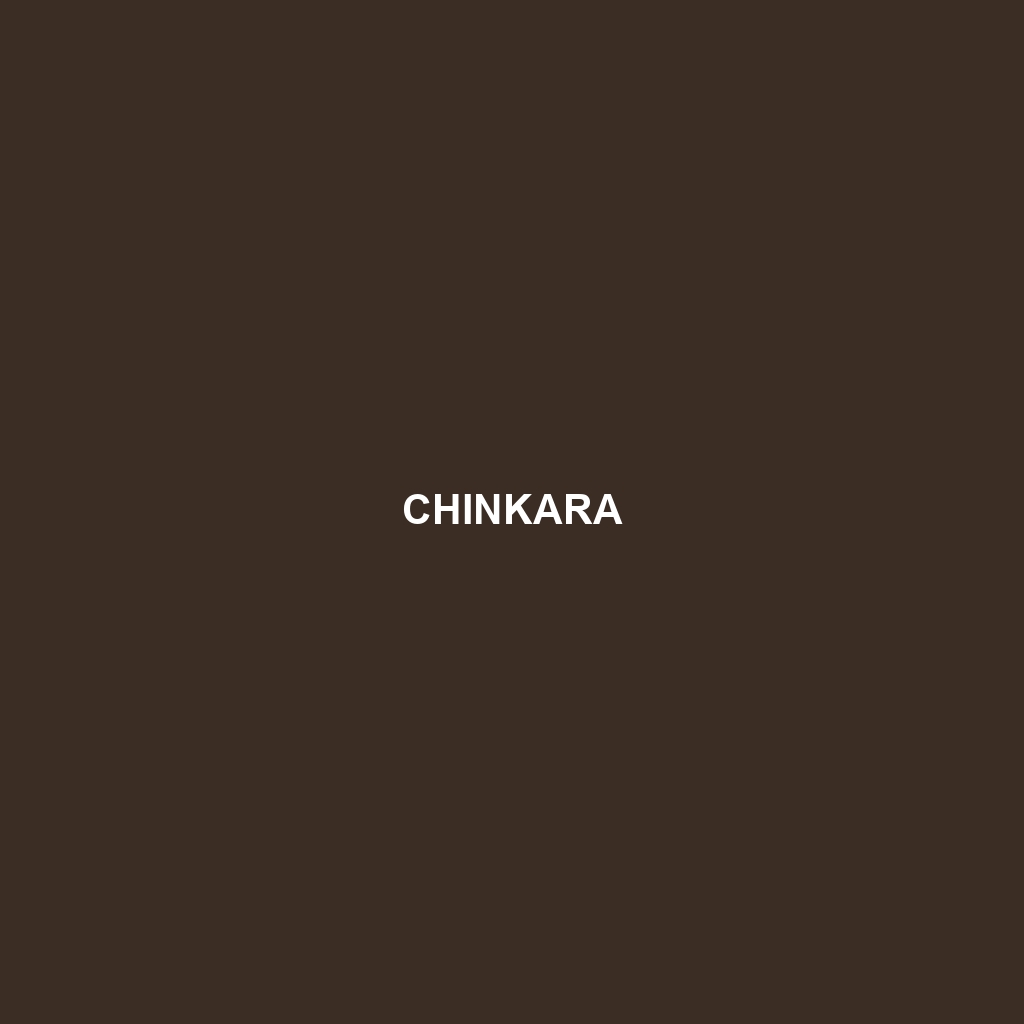 Chinkara