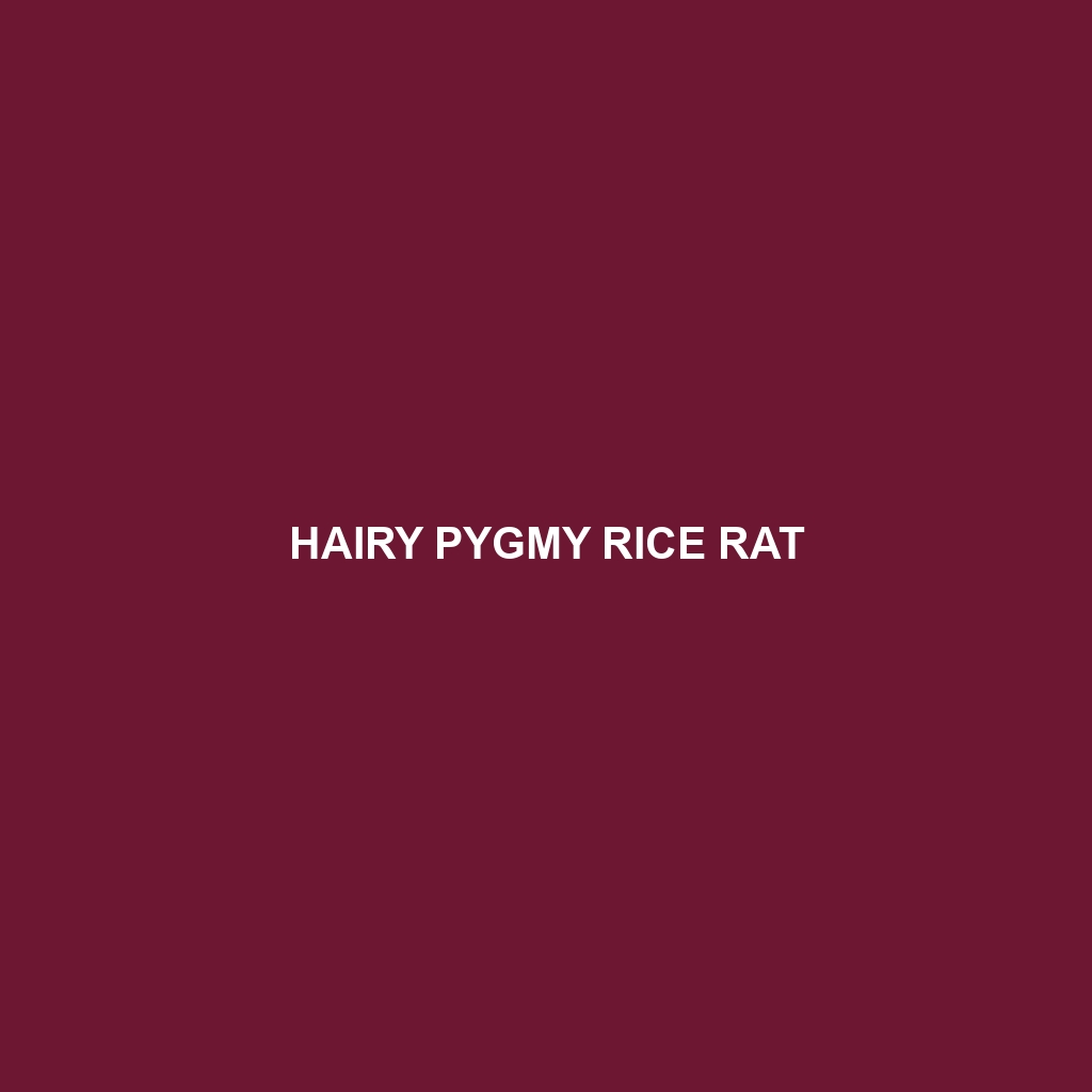 Hairy Pygmy Rice Rat