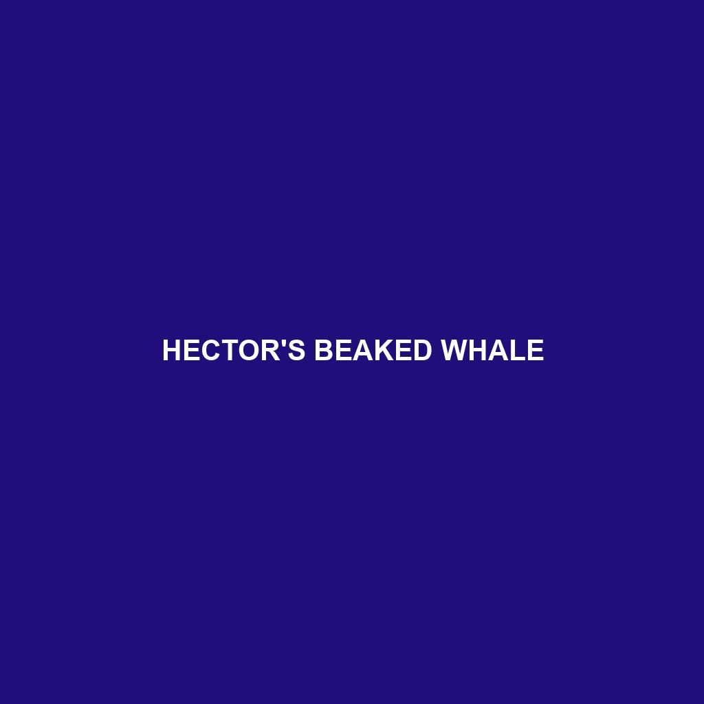 Hector's Beaked Whale