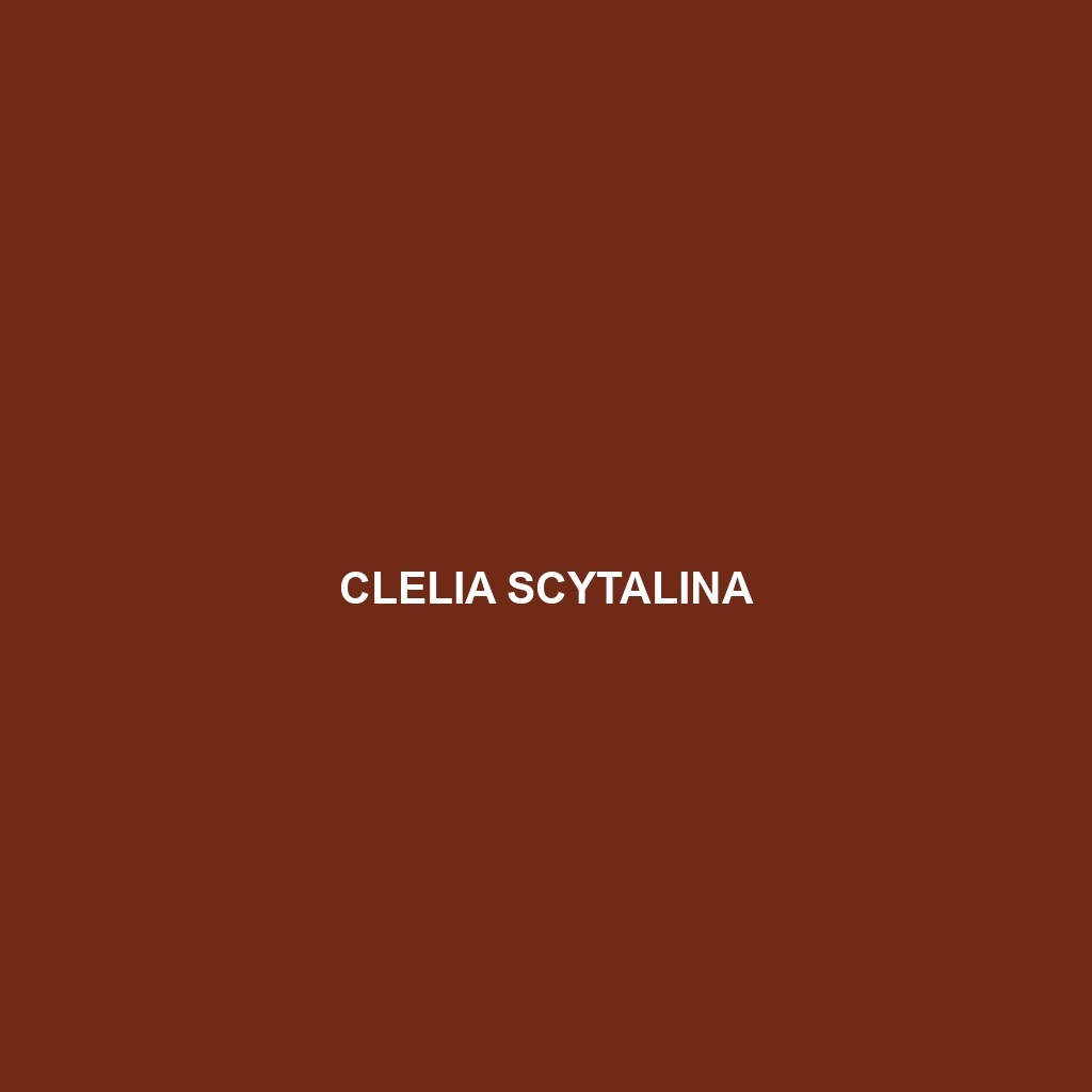 Clelia scytalina