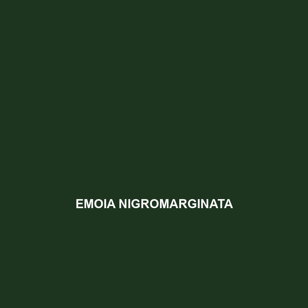 Emoia nigromarginata