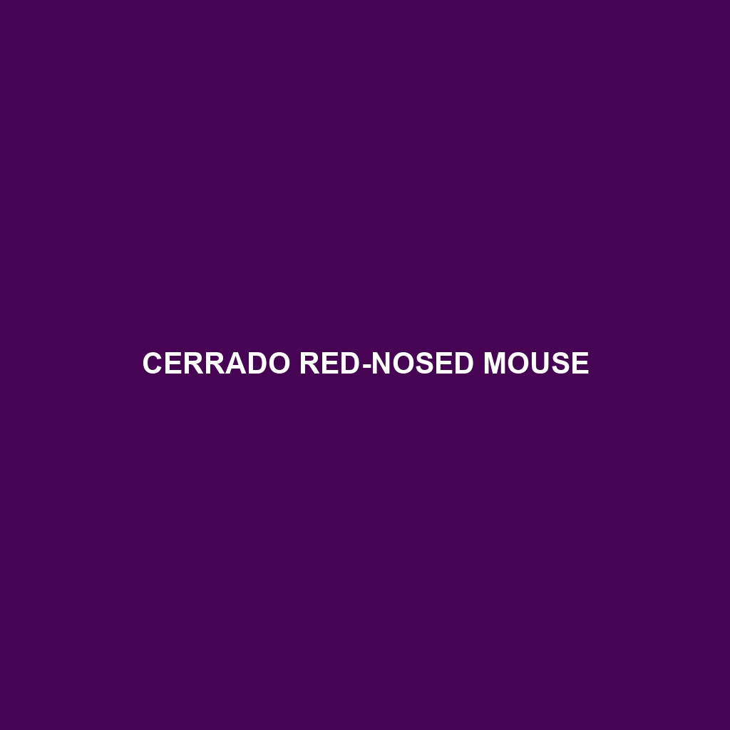 Cerrado Red-nosed Mouse