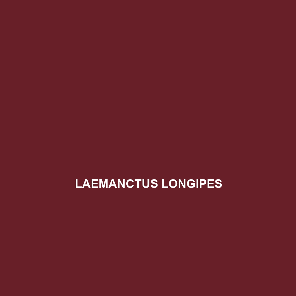 Laemanctus longipes