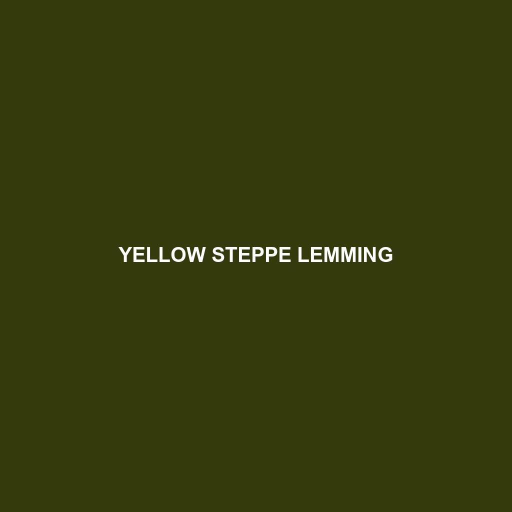 Yellow Steppe Lemming