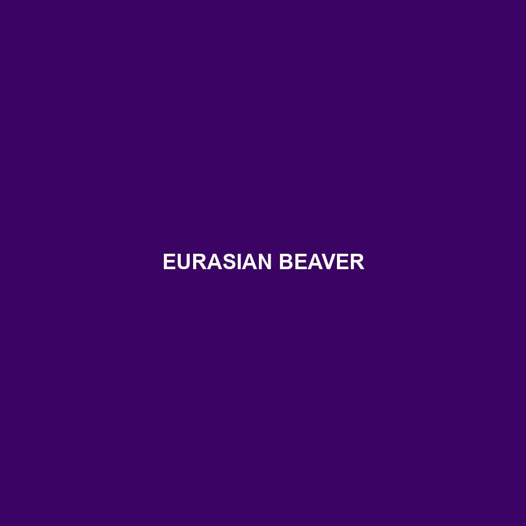 Eurasian Beaver