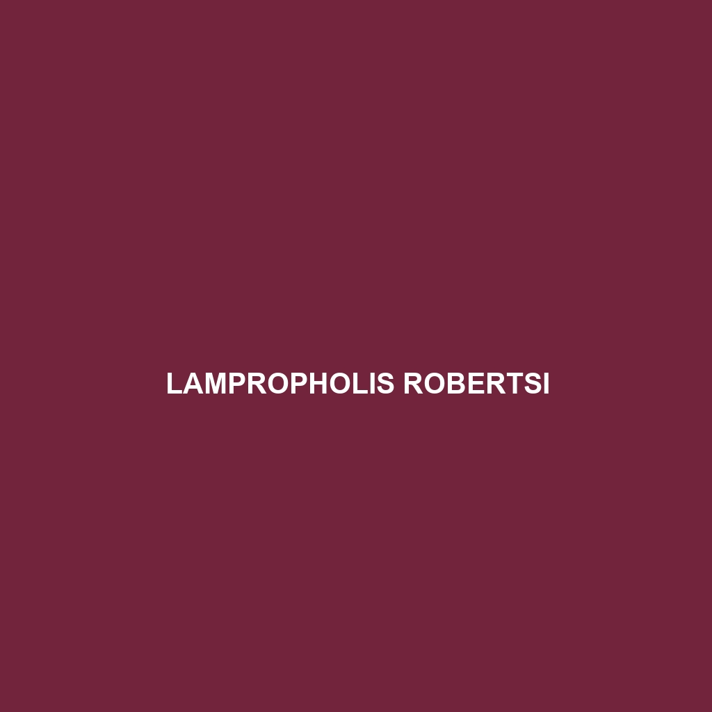 Lampropholis robertsi