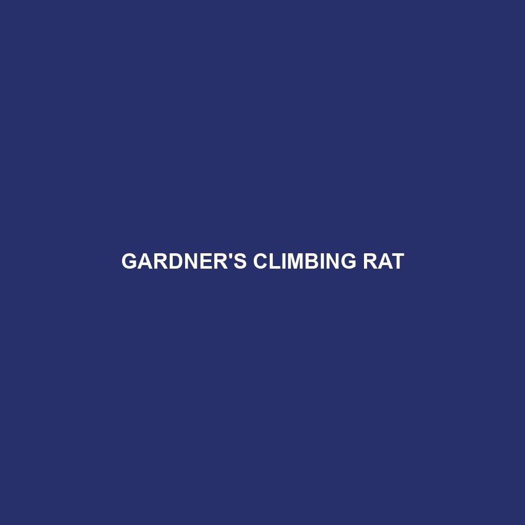 Gardner's Climbing Rat