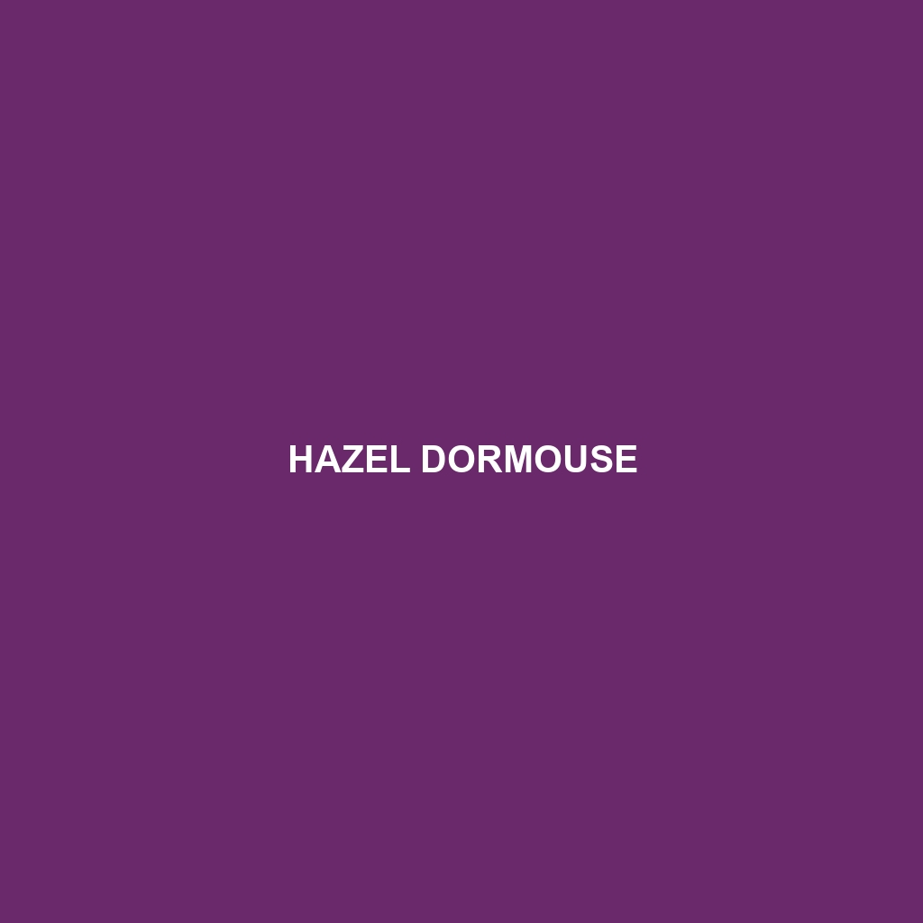 Hazel Dormouse