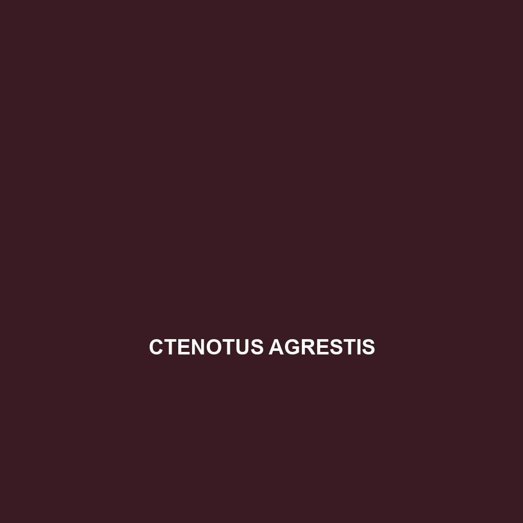 Ctenotus agrestis