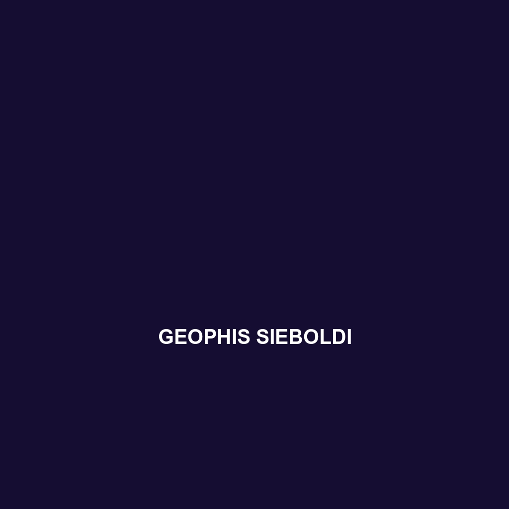 Geophis sieboldi