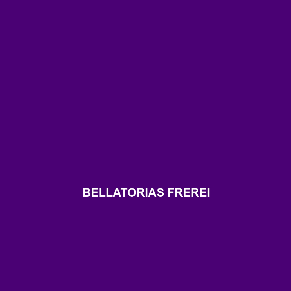 Bellatorias frerei