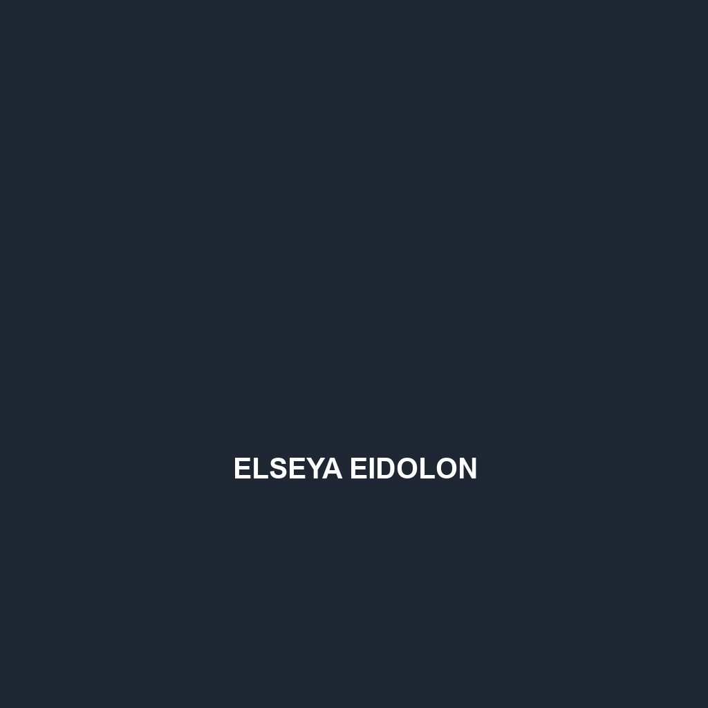 Elseya eidolon