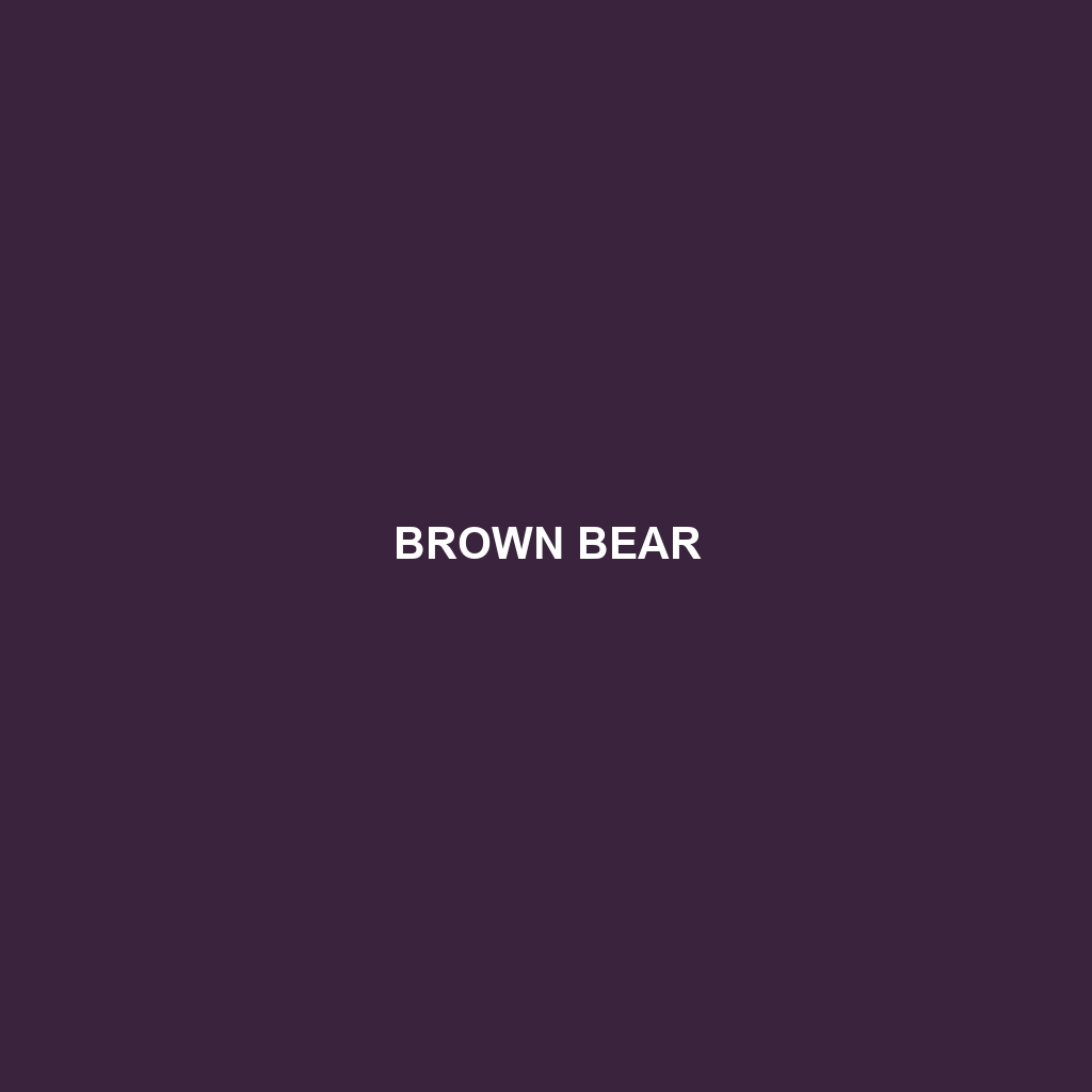 Brown Bear