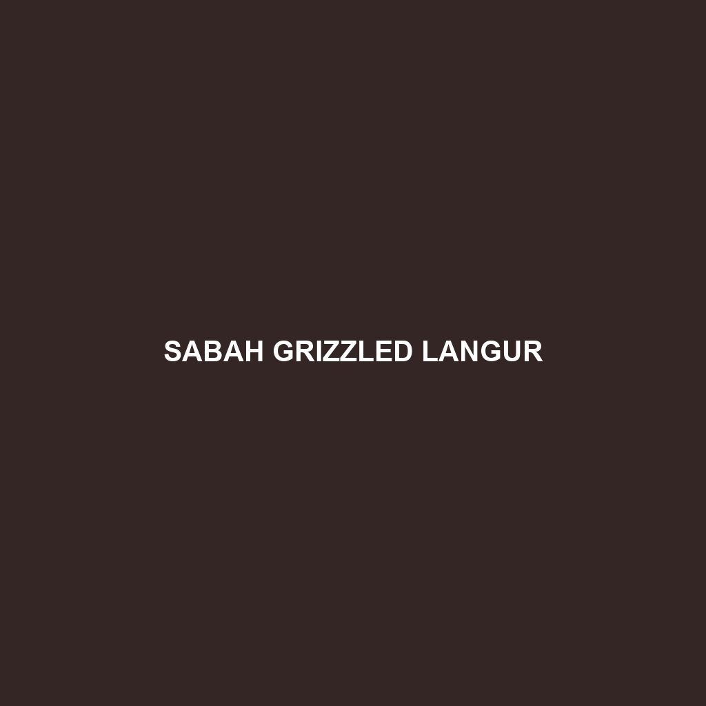 Sabah Grizzled Langur