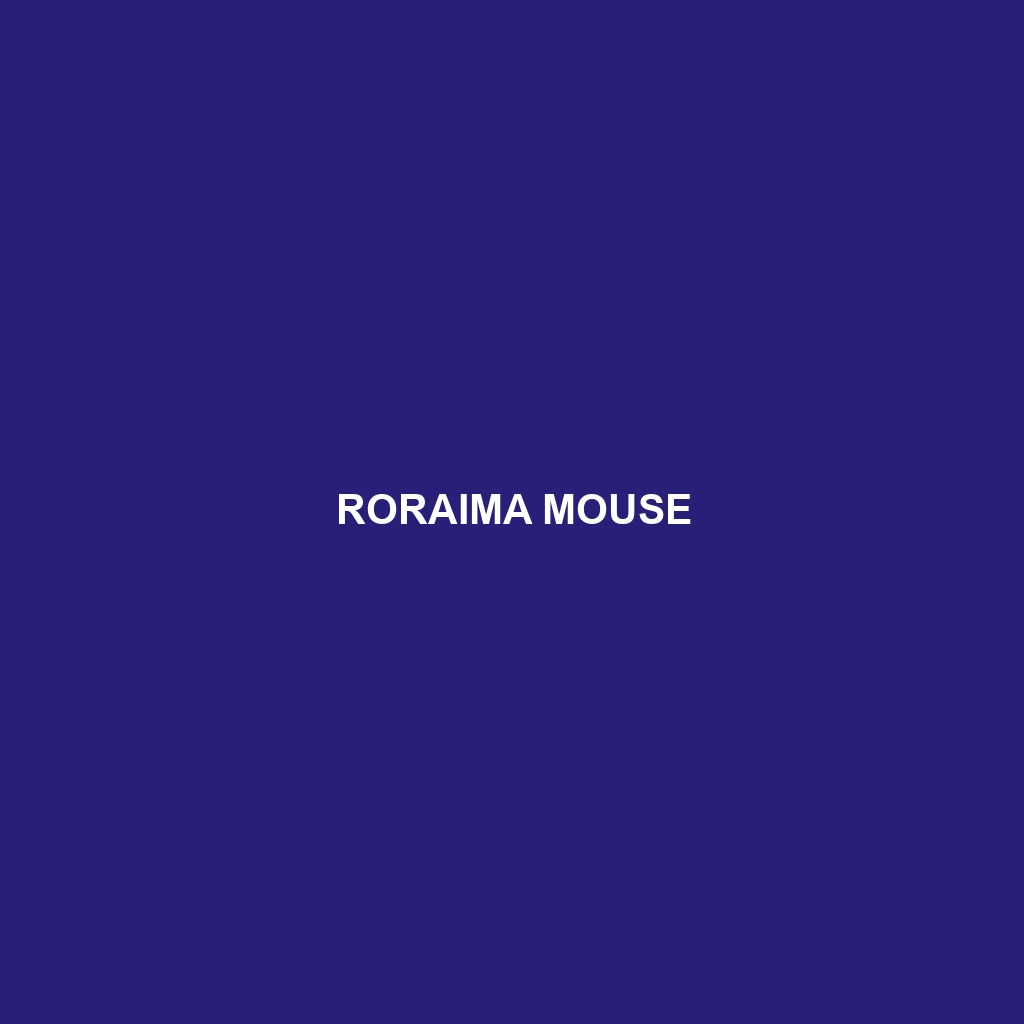 Roraima Mouse