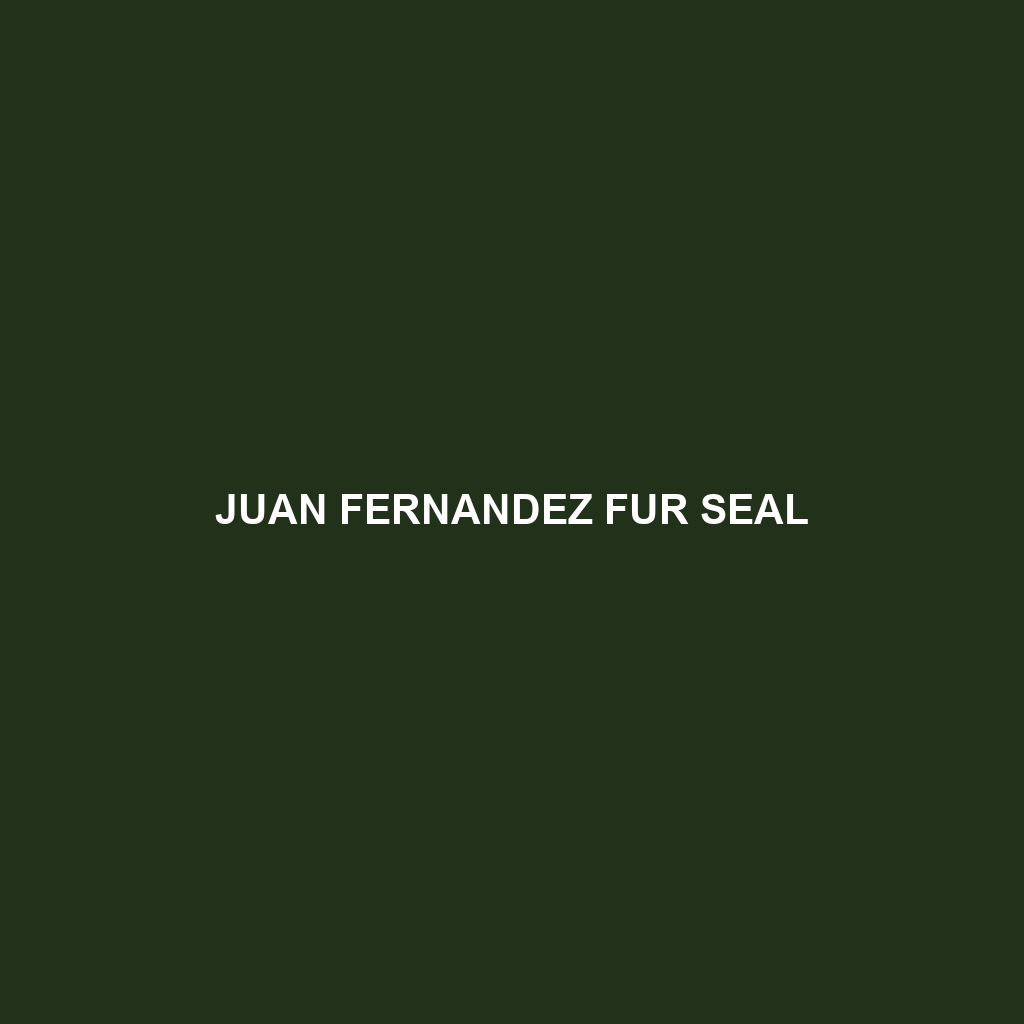 Juan Fernandez Fur Seal