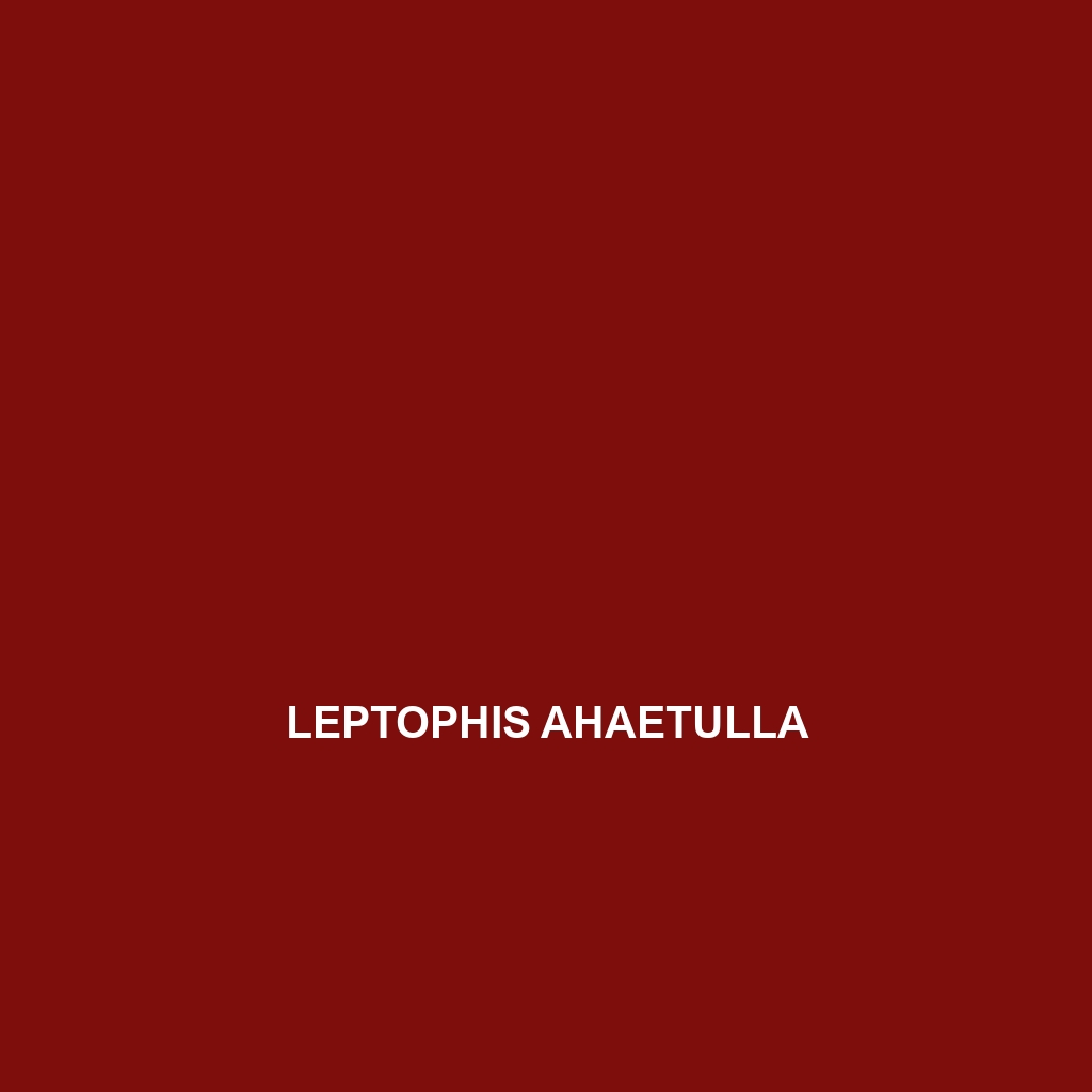 Leptophis ahaetulla