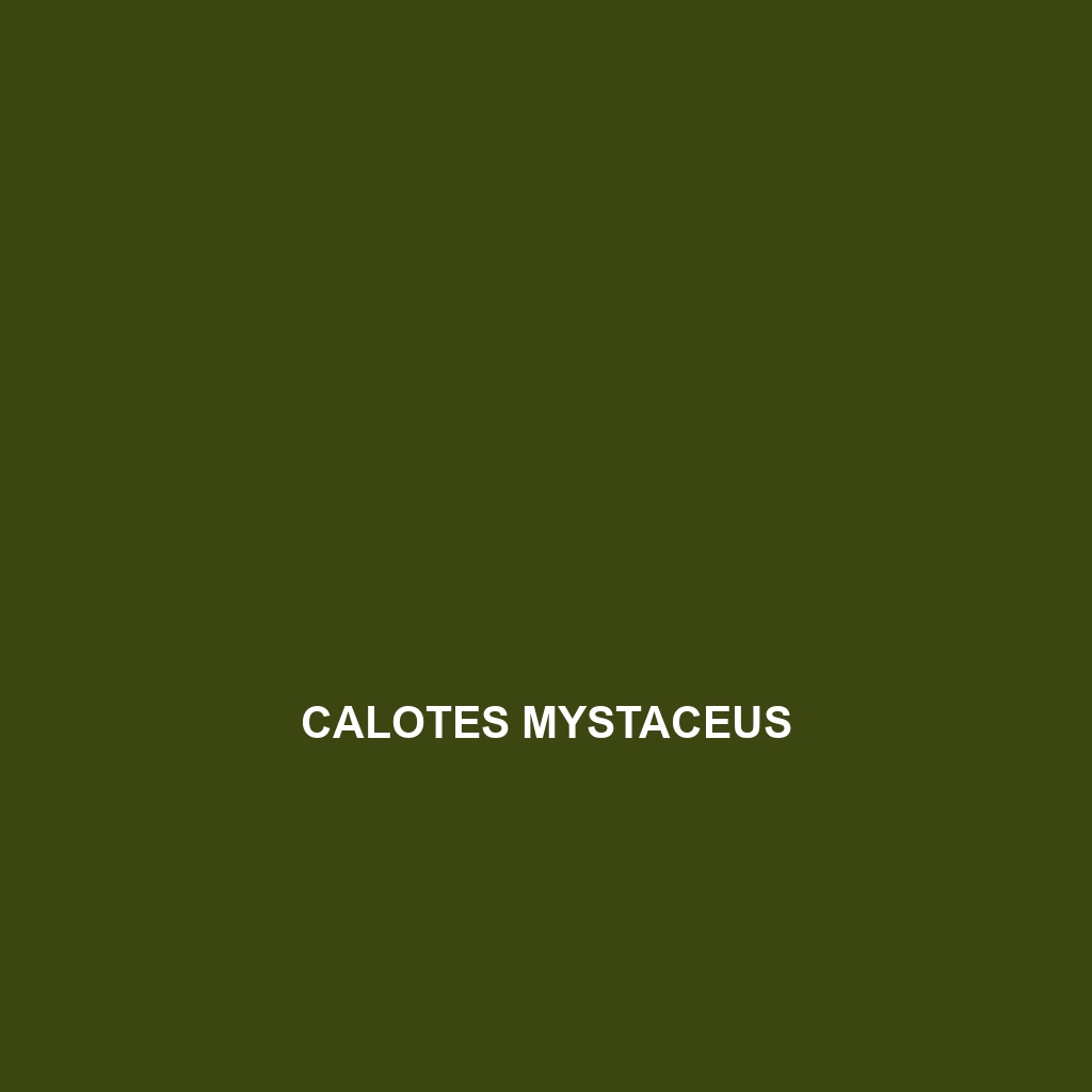 Calotes mystaceus