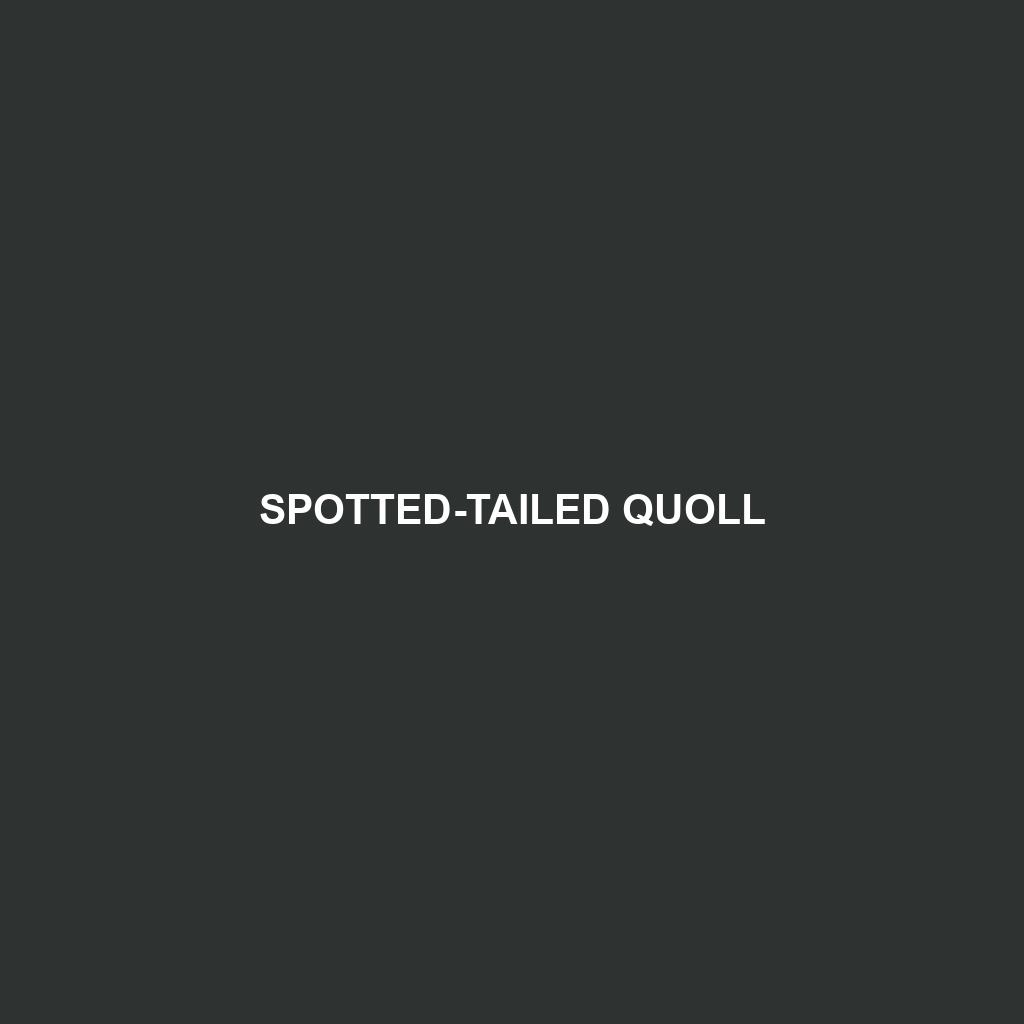 Spotted-tailed Quoll