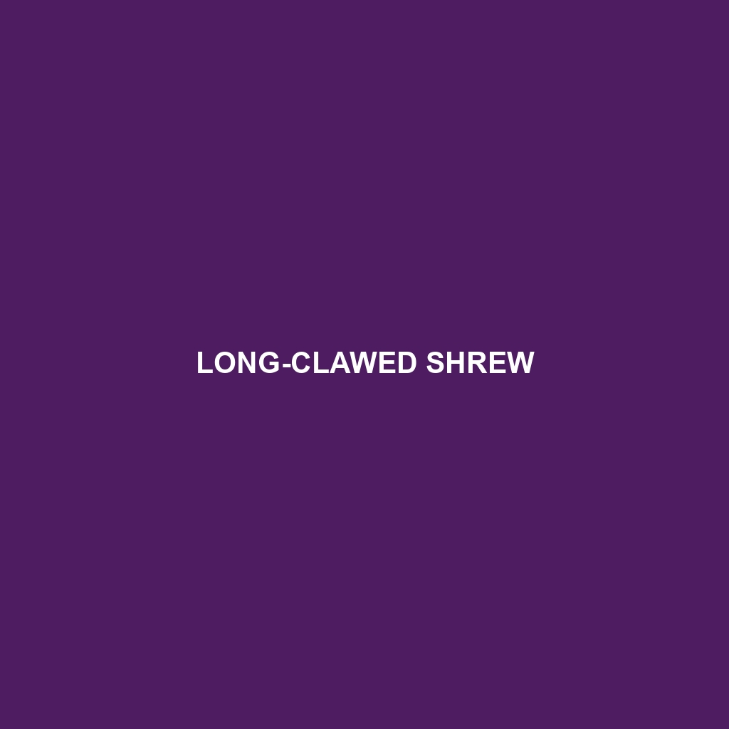 Long-clawed Shrew