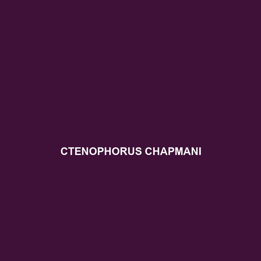 Ctenophorus chapmani