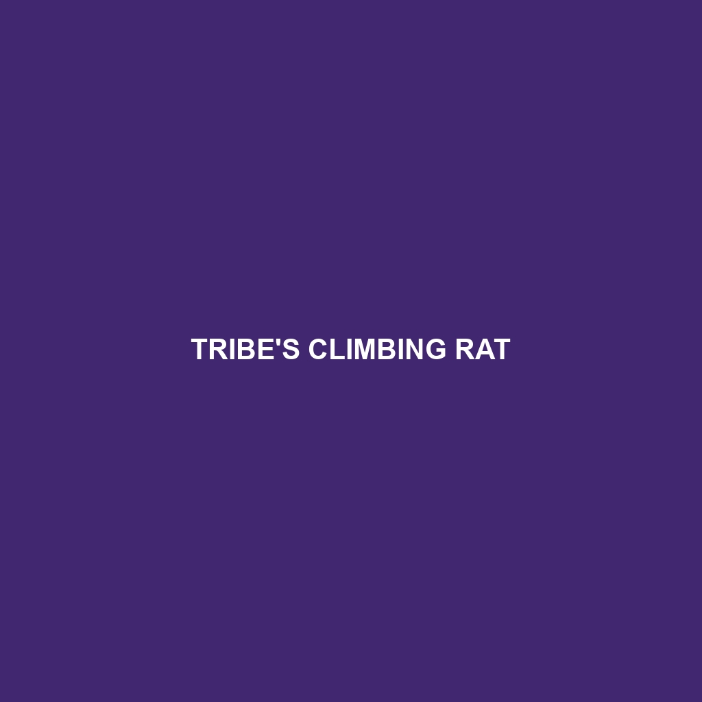 Tribe's Climbing Rat