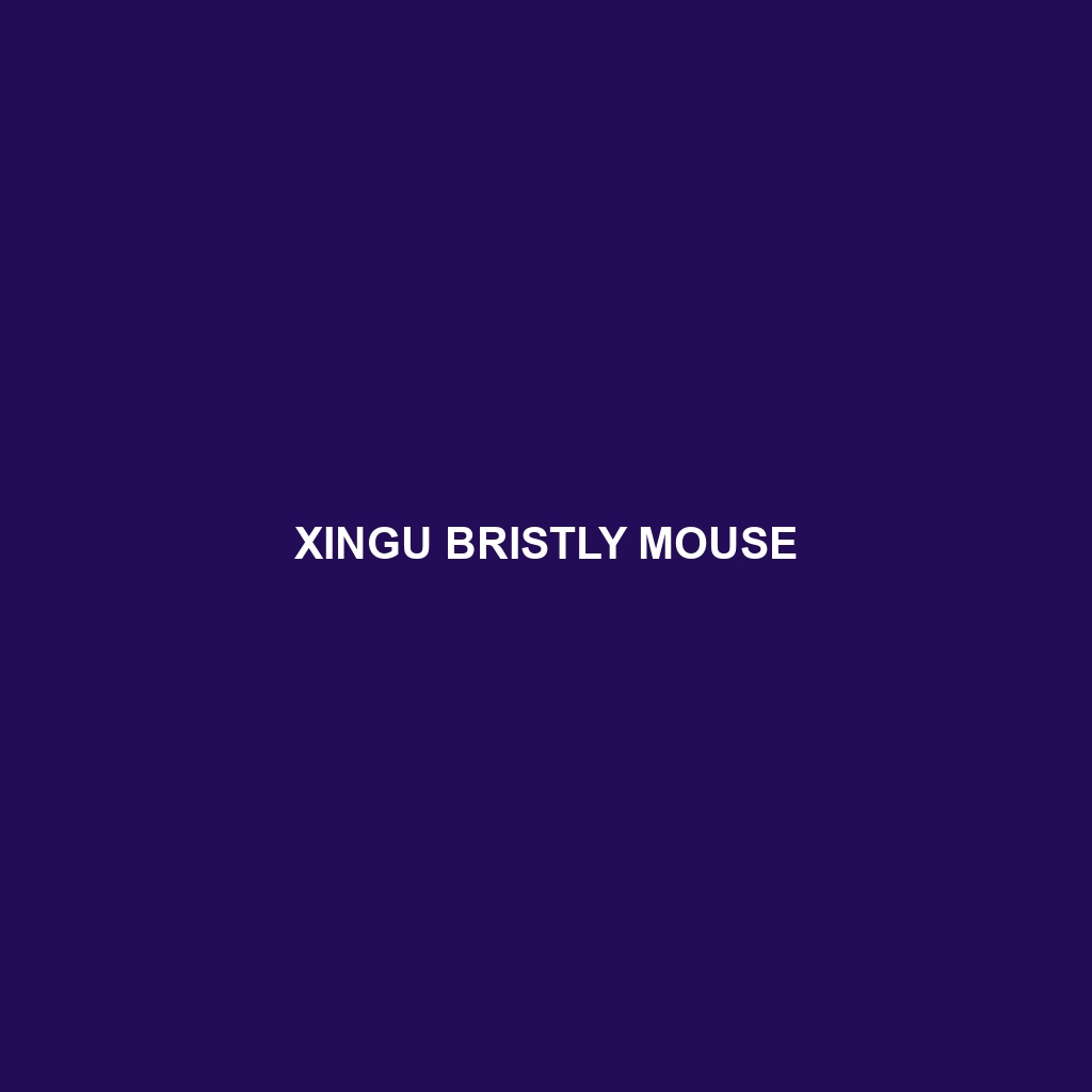 Xingu Bristly Mouse