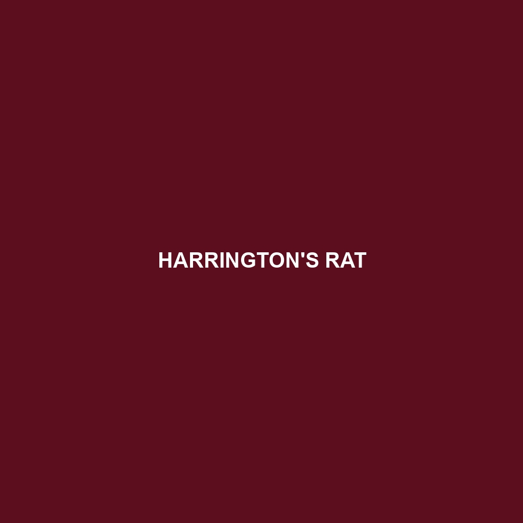 Harrington's Rat