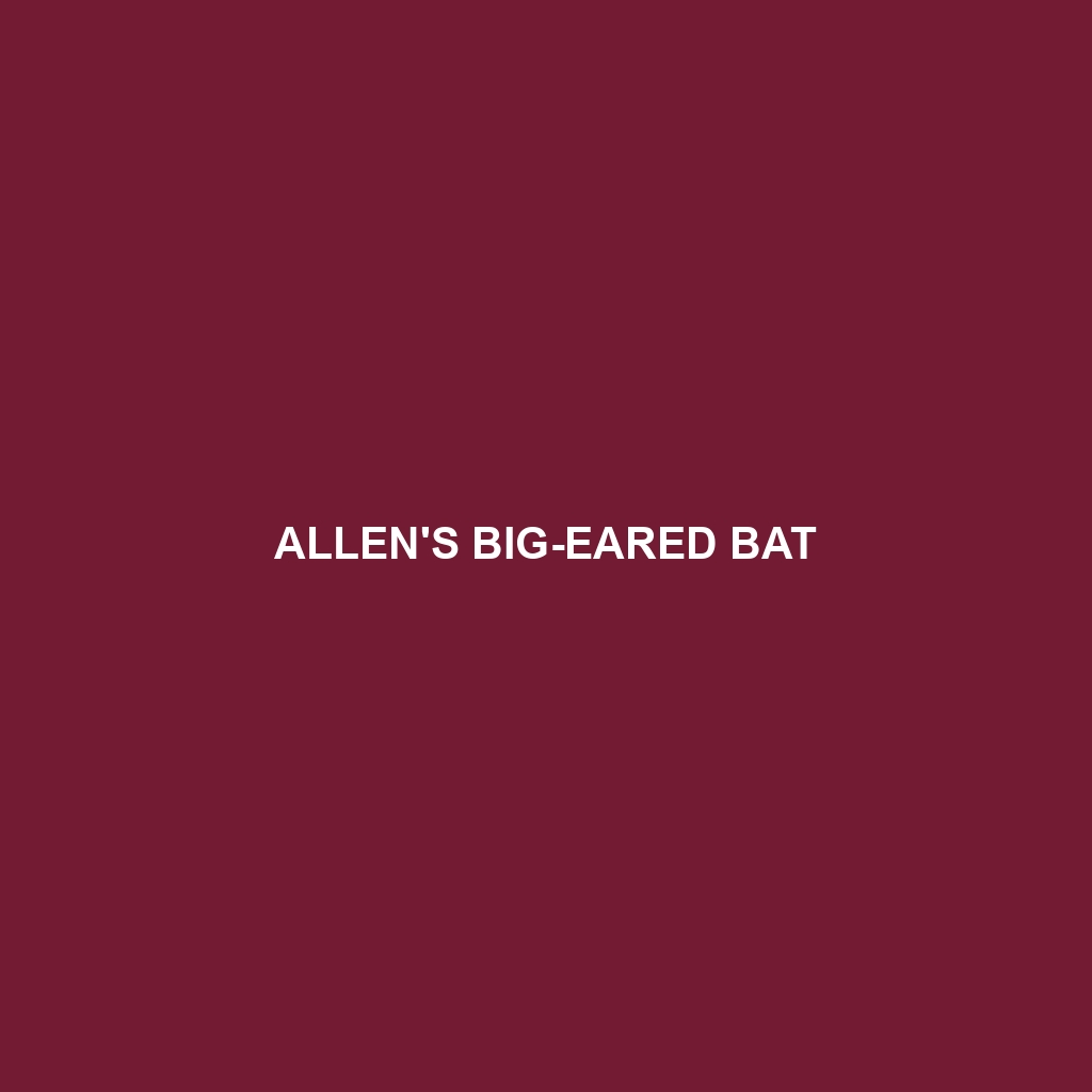 Allen's Big-eared Bat