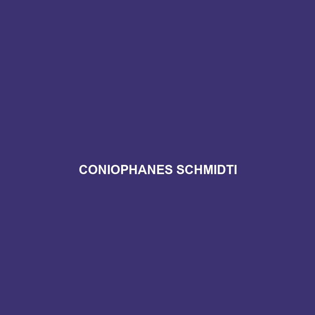 Coniophanes schmidti