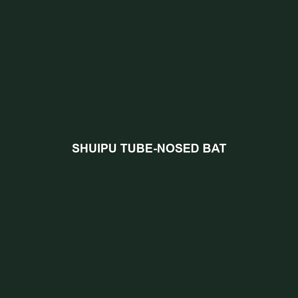 Shuipu Tube-nosed Bat