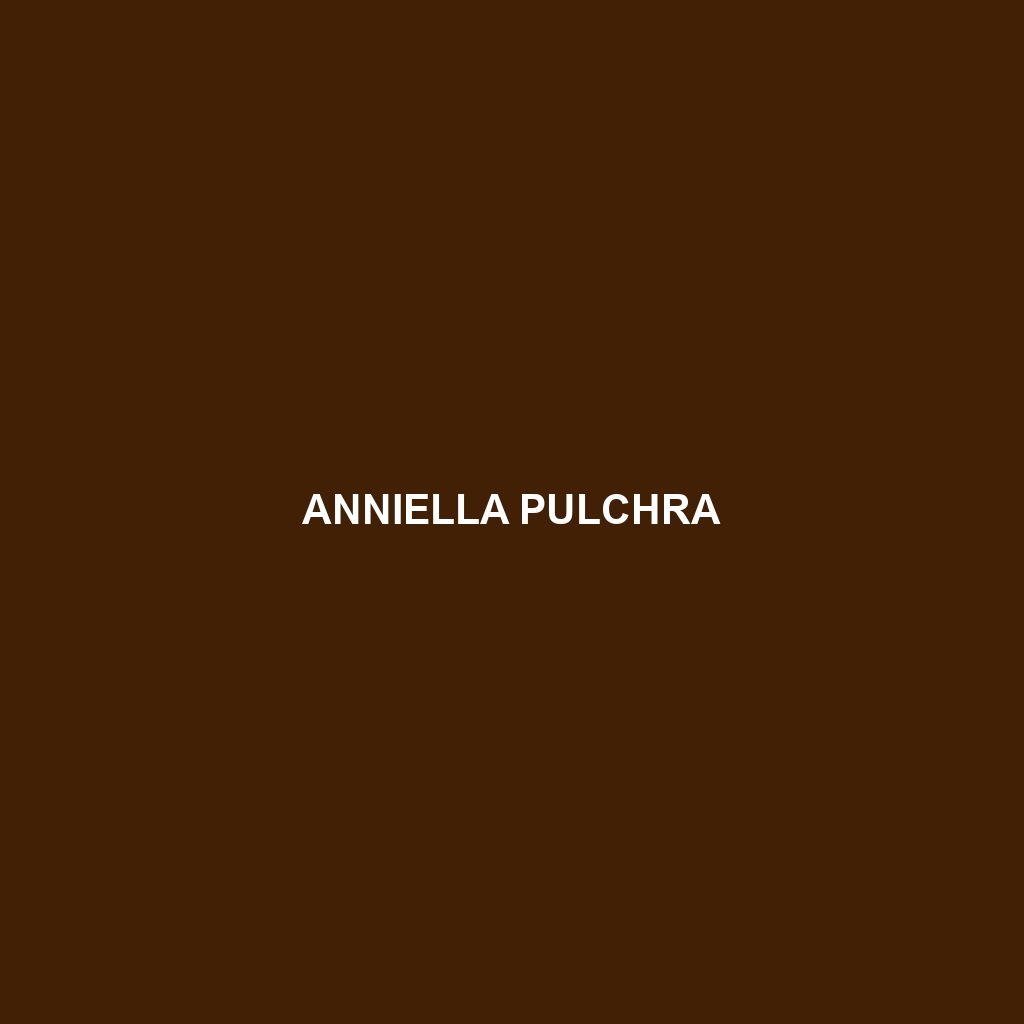 Anniella pulchra