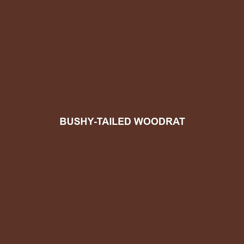 Bushy-tailed Woodrat