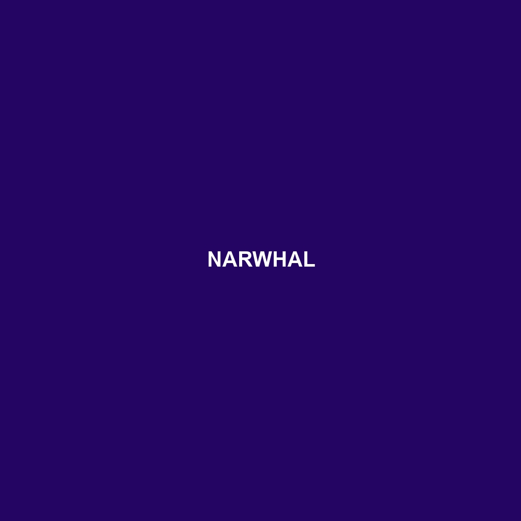 Narwhal