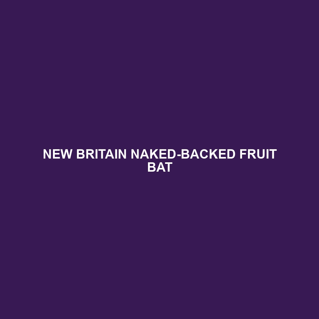 New Britain Naked-backed Fruit Bat