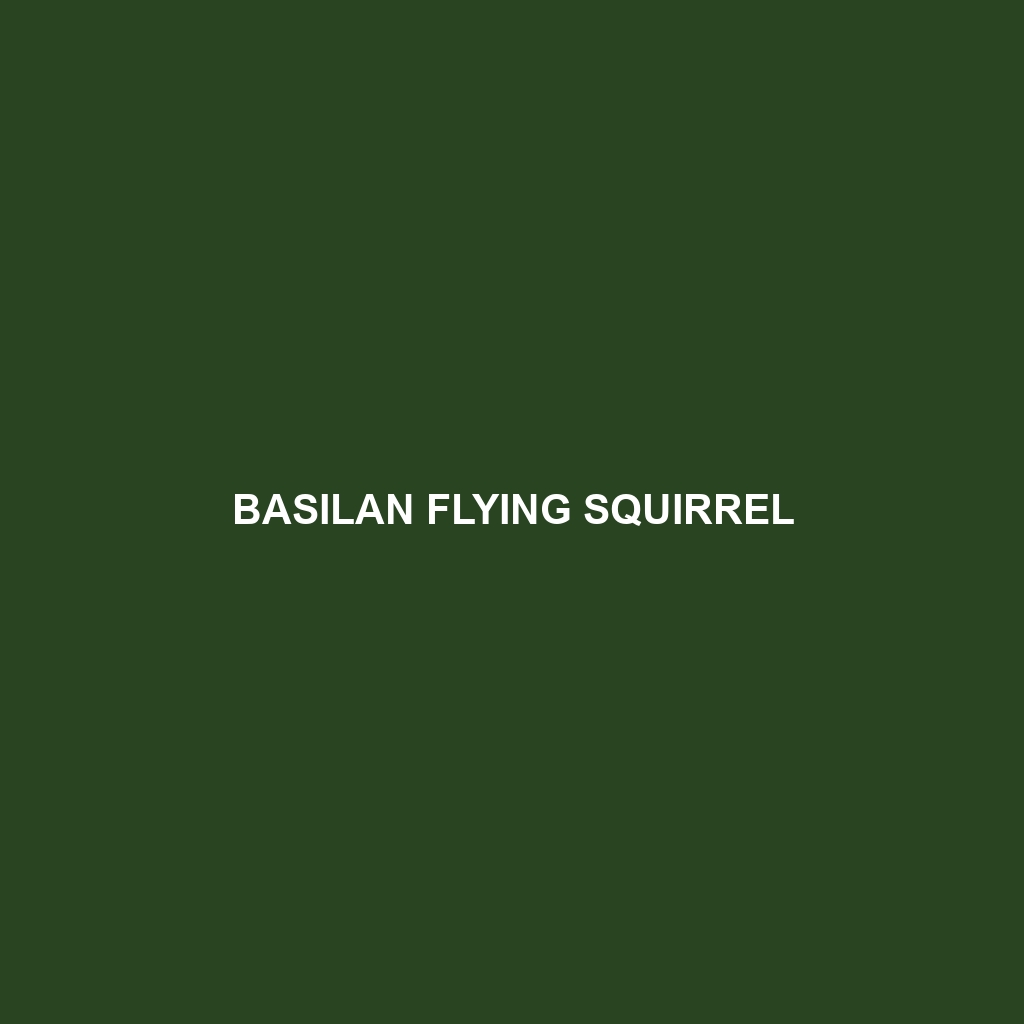 Basilan Flying Squirrel