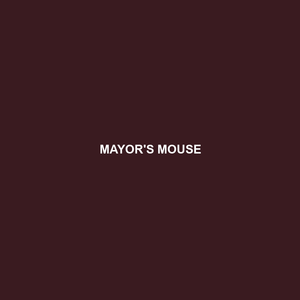 Mayor's Mouse