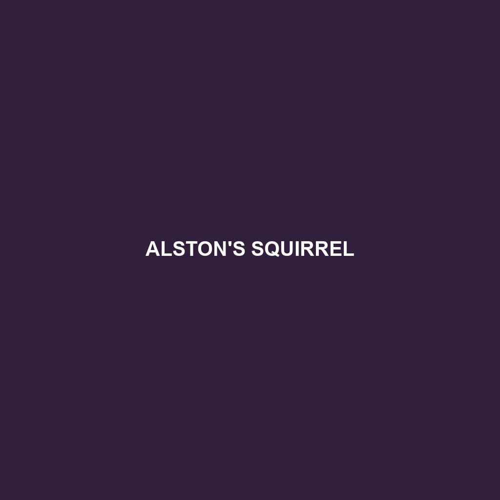 Alston's Squirrel