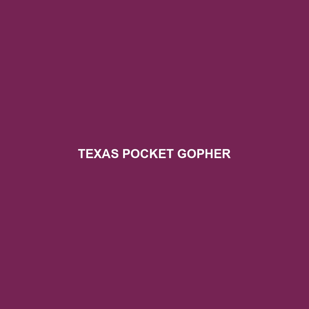 Texas Pocket Gopher