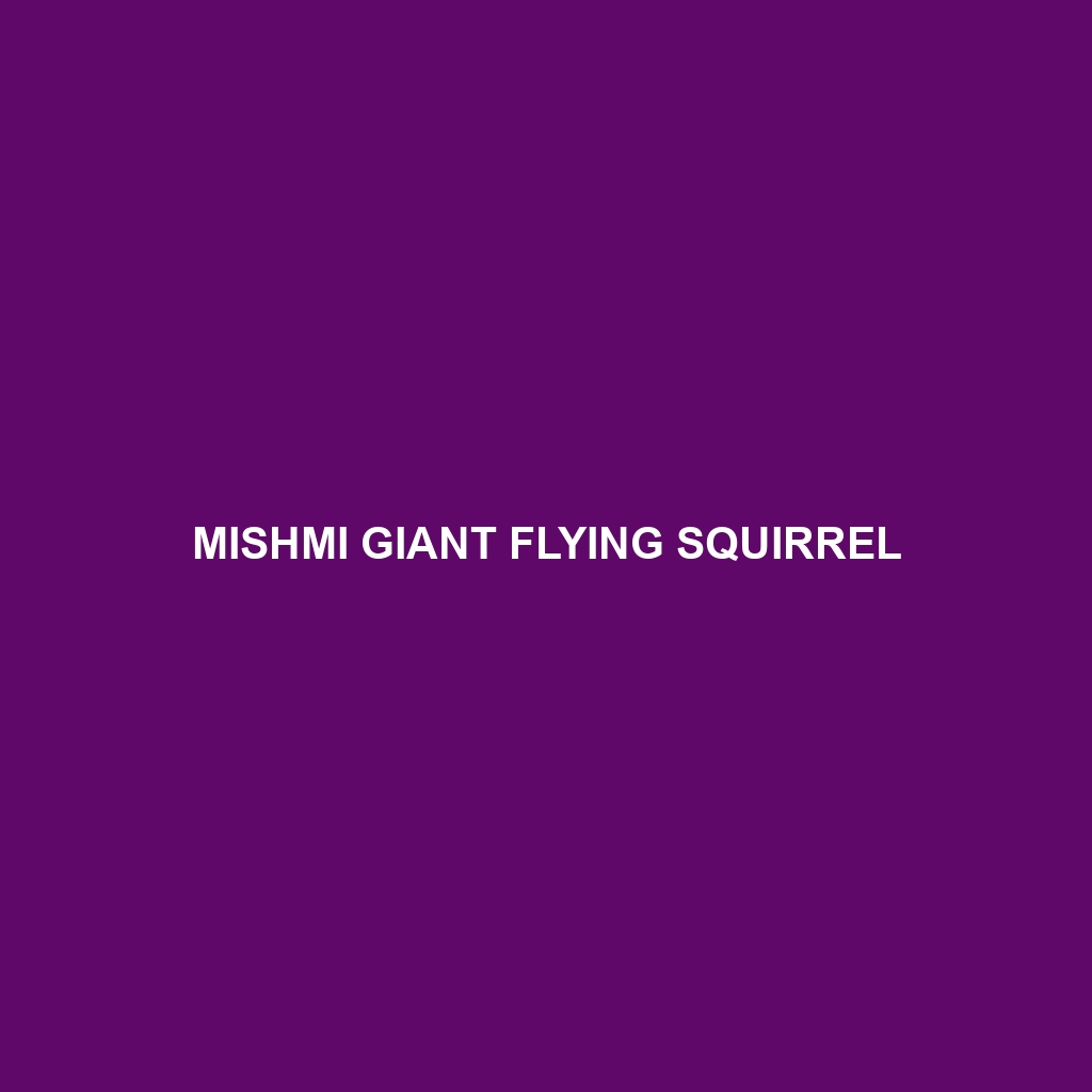 Mishmi Giant Flying Squirrel