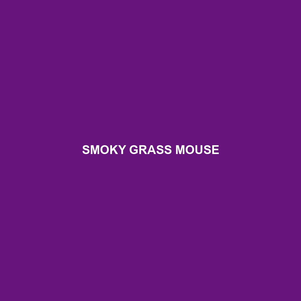 Smoky Grass Mouse