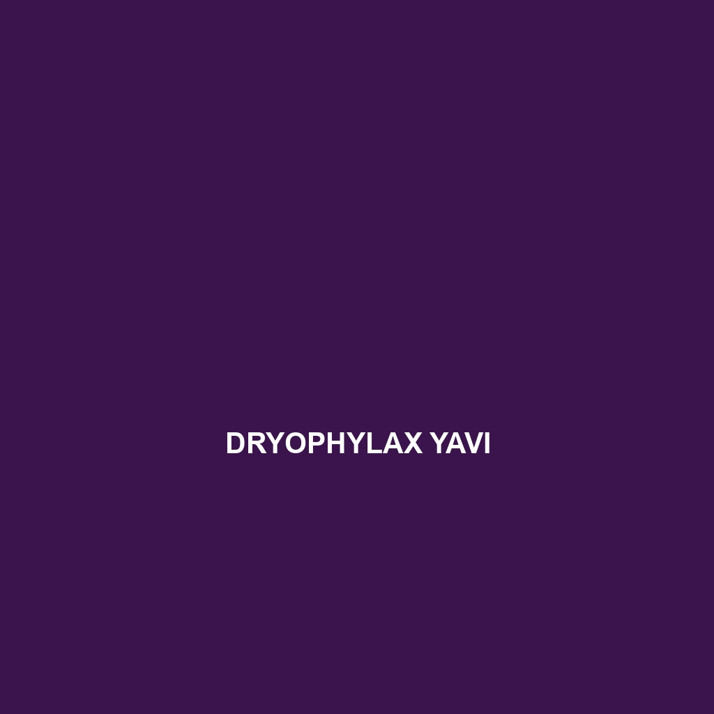 Dryophylax ramonriveroi