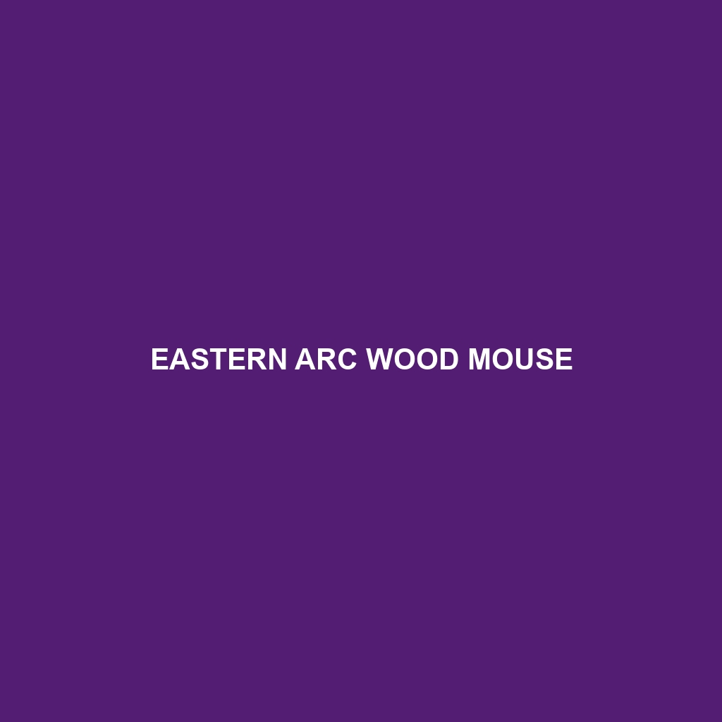 Eastern Arc Wood Mouse